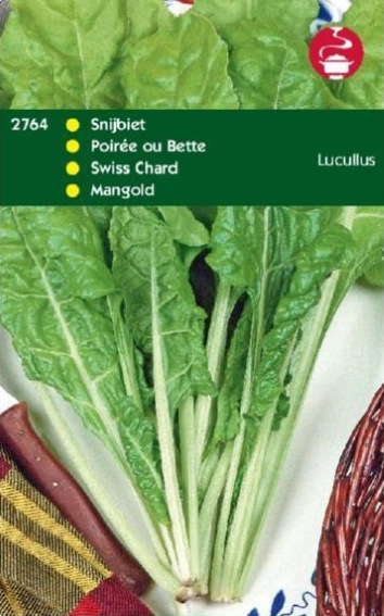 Swiss Chard Lucullus (Beta vulgaris) 1600 seeds HT